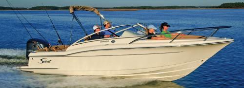 Scout 225 Dorado ficha técnica y opiniones